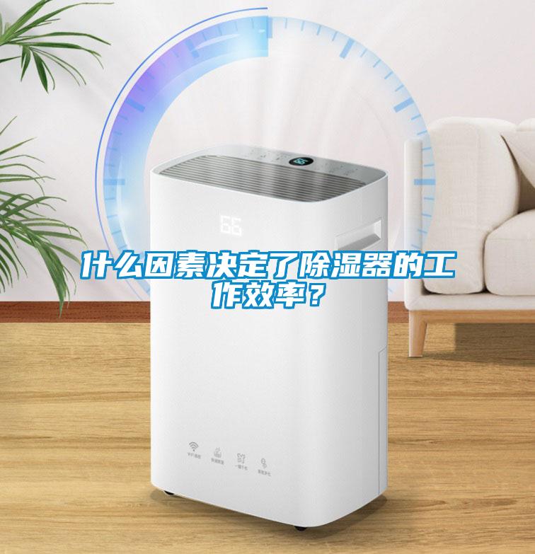 什么因素決定了除濕器的工作效率？