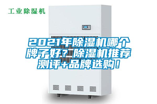 2021年除濕機哪個牌子好？除濕機推薦測評+品牌選購！