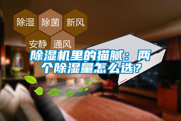 除濕機里的貓膩：兩個除濕量怎么選？