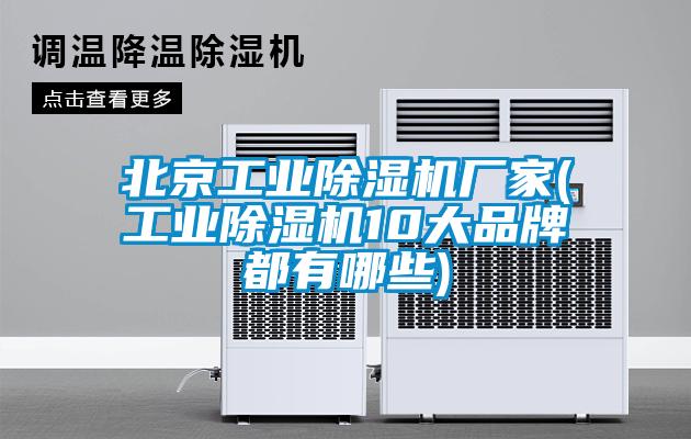 北京工業除濕機廠家(工業除濕機10大品牌都有哪些)