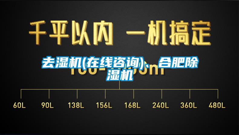 去濕機(在線咨詢)、合肥除濕機