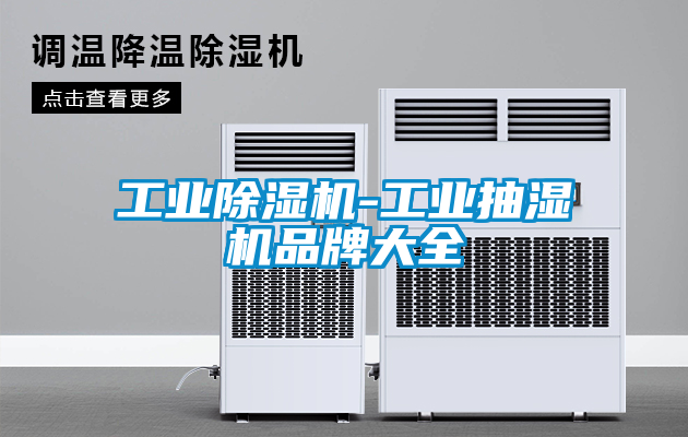 工業除濕機-工業抽濕機品牌大全