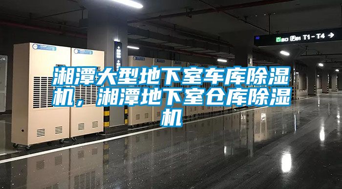 湘潭大型地下室車庫(kù)除濕機(jī)，湘潭地下室倉(cāng)庫(kù)除濕機(jī)