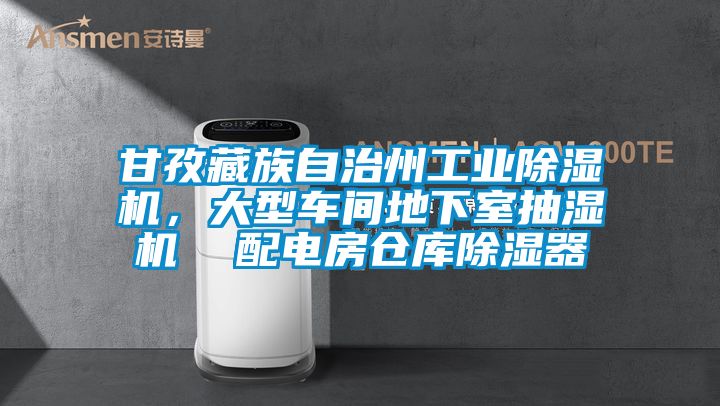 甘孜藏族自治州工業除濕機，大型車間地下室抽濕機  配電房倉庫除濕器