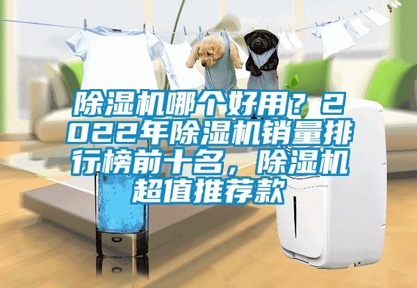 除濕機哪個好用？2022年除濕機銷量排行榜前十名，除濕機超值推薦款