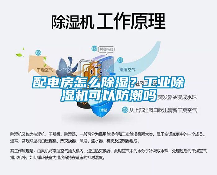 配電房怎么除濕？工業(yè)除濕機可以防潮嗎