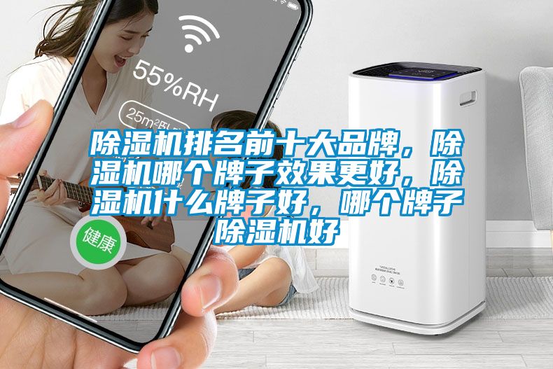 除濕機排名前十大品牌，除濕機哪個牌子效果更好，除濕機什么牌子好，哪個牌子除濕機好